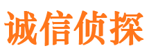 察隅寻人公司